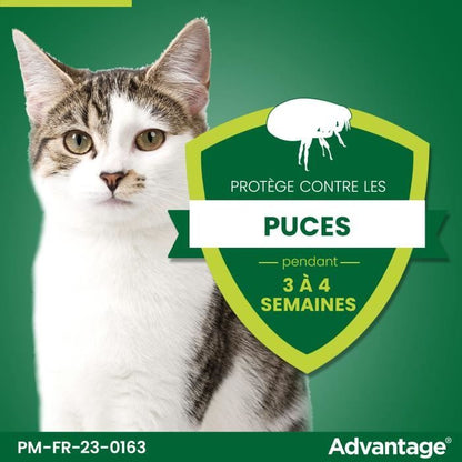 Advantage antipuce rabbit chat solution 1 to 4kg 6 pipettes