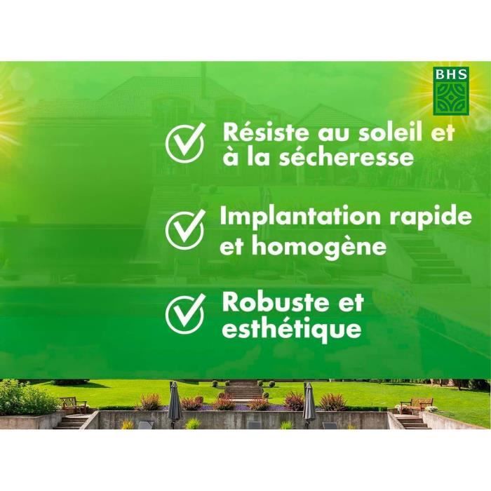 Lawn - BHS - Rustic South Lawn - 1kg, 40 m². Resistant to dry conditions thanks to tall fescue. Fast and even.