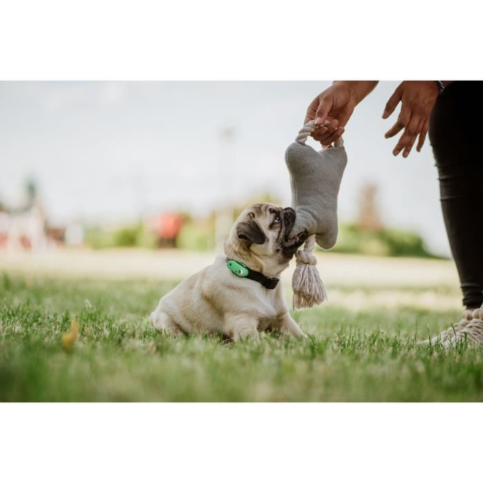 Ultrasonic dog repellent - TICKLESS MINI DOG&CAT - Tick and flea protection - Mentha Green