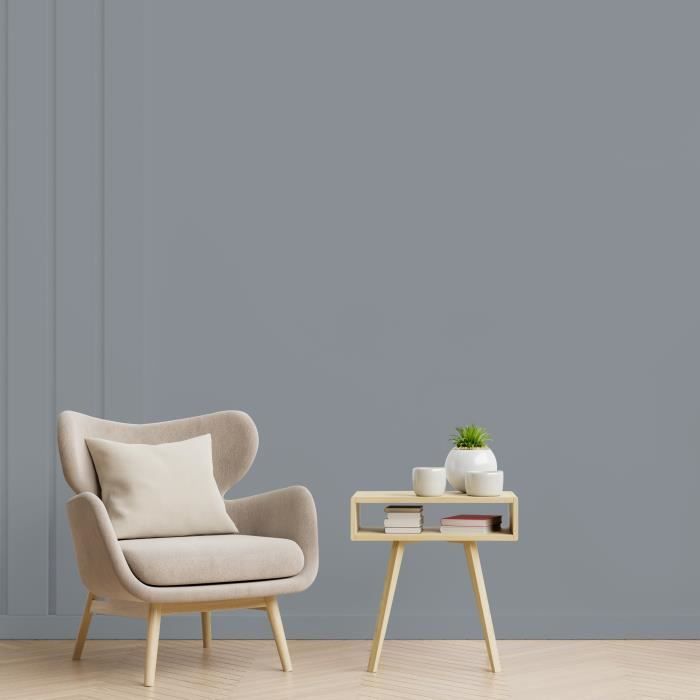 RIPOLIN All Pieces Wall Paint - Satin Zinc Gray, 2,5L