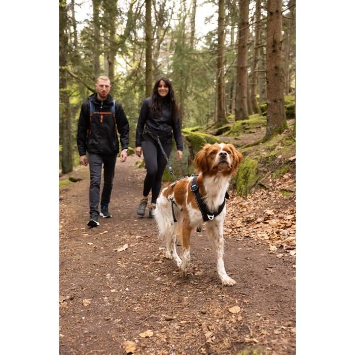 Dog harness - SYMBIOZ - XS - Black / Blue