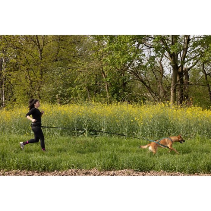 Dog traction leash - INTENSIA - 1.9 m - Double handle