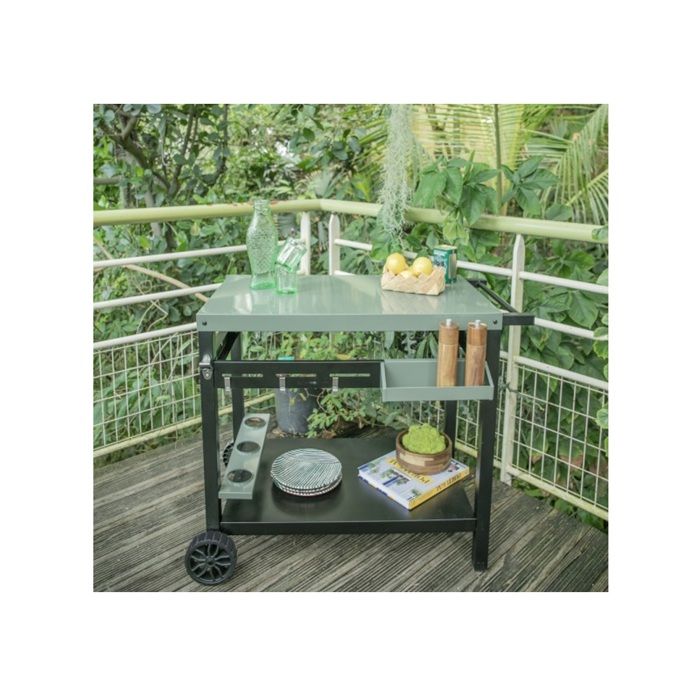 Plancha trolley - LIVOO - GS167V - Green / Black