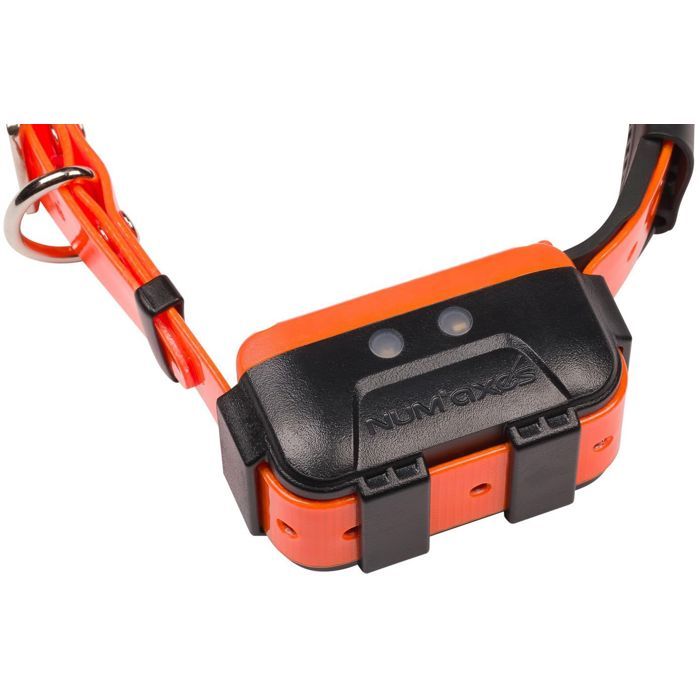 GPS collar - NUM'AXES - CANICOM GPS 2 - Collar only - Black / Orange