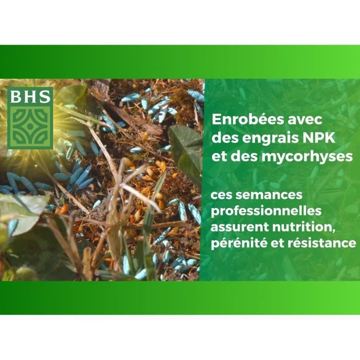 BHS English Turf - 3kg for Premium Gardens