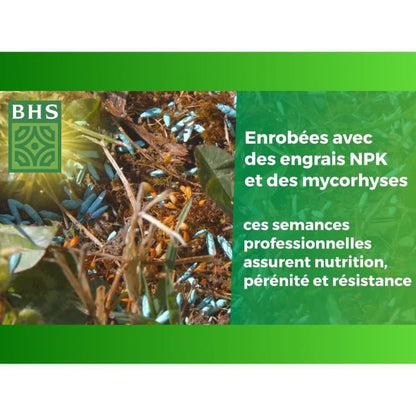 BHS English Turf - 3kg for Premium Gardens