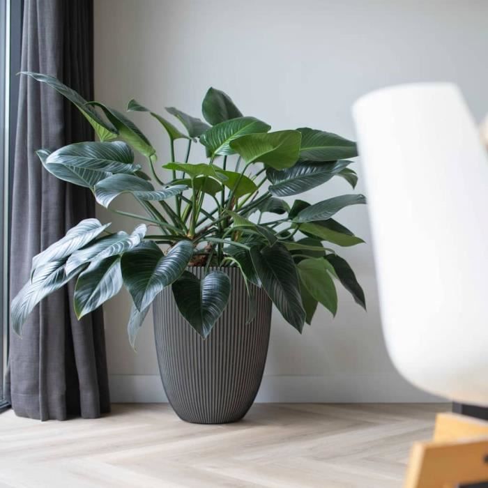 Capi Elegant Groove Vase 46x58 cm Anthracite 445501