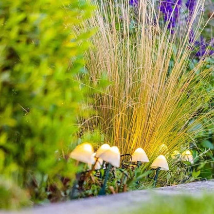 10 mini solar light mushrooms to stick - LUMISKY - CHAMPY - 3.8 m - Path marking - Warm white LED