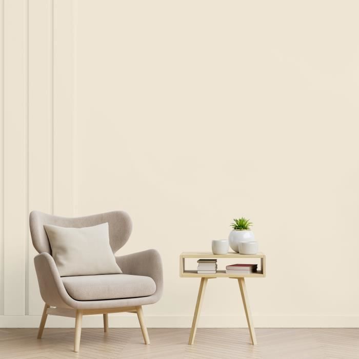 Multi-surface decorative spirit, matte off-white - RIPOLIN - 2.5 L