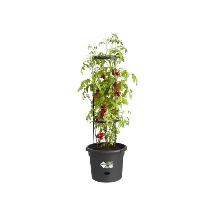 ELHO Green Basics Tomato Pot - 33 cm - Bright Black