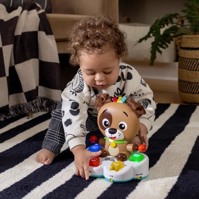 BABY EINSTEIN Multi-sensory educational toy, Music and Lights, Interactive and Multilingual