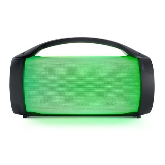 BIGBEN PARTYBTPRO Bluetooth speaker - USB SD AUX IN - 38 CM + WIRELESS MIC