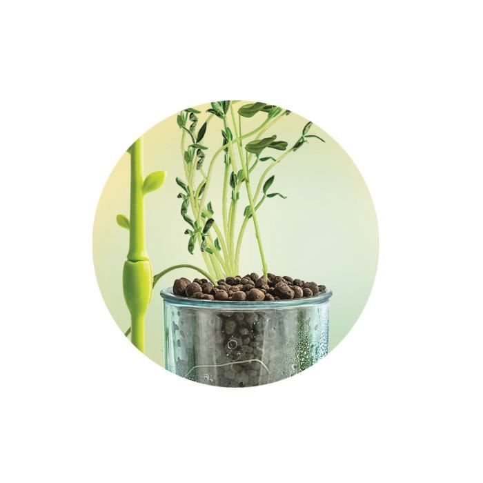 CLEMENTONI Mini Botanical Greenhouse