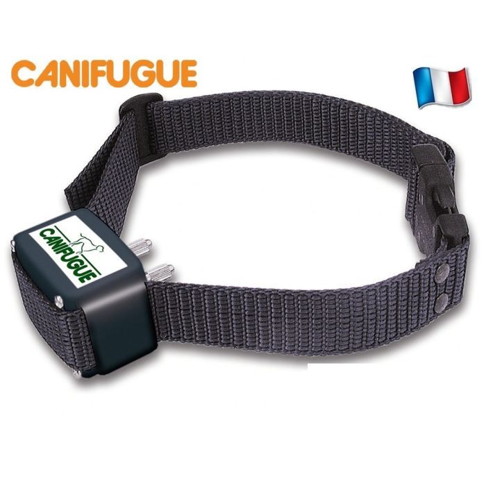CANIFUGUE Fence and collar for dogs