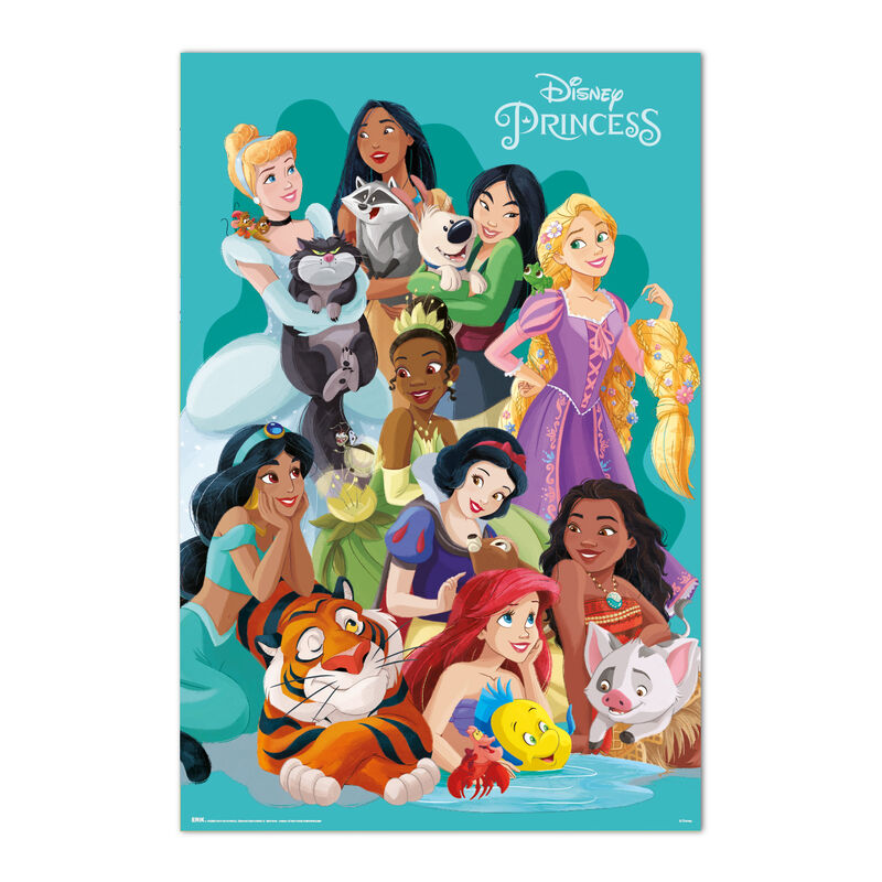Disney Princess poster