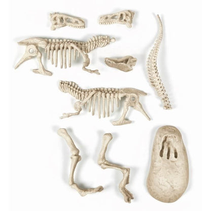 CLEMENTONI Archéo Ludic - T-Rex Phosphorescent - Science & Jeu